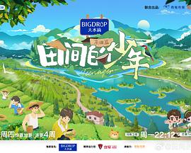 麻豆网页端 - 中文阿薇